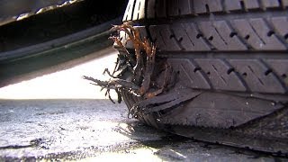 Recall Roulette: Americans Could Be Driving on Bad, Dangerous Tires