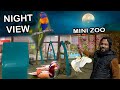 Mini Zoo Night View | শীতের রাতে পোশা প্রাণীর সাথে