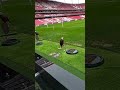 Águia símbolo do Benfica