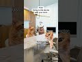 cat memes 🐱going to the doctor with your mom catmemes relatable relationship