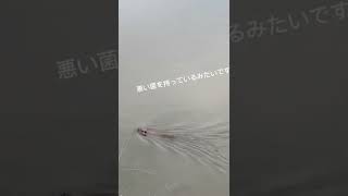 流れに逆らって泳ぐヌートリア　知らんけど　＃ヌートリア