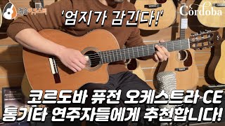 [코르도바] 코르도바 오케스트라 CE 기타 리뷰 (Cordoba Orchestra CE Guitar Review)