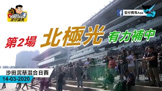 香港賽馬 14-03-2020 沙田泥草混合日賽 - 波仔講馬 第2場 北極光 有力補中