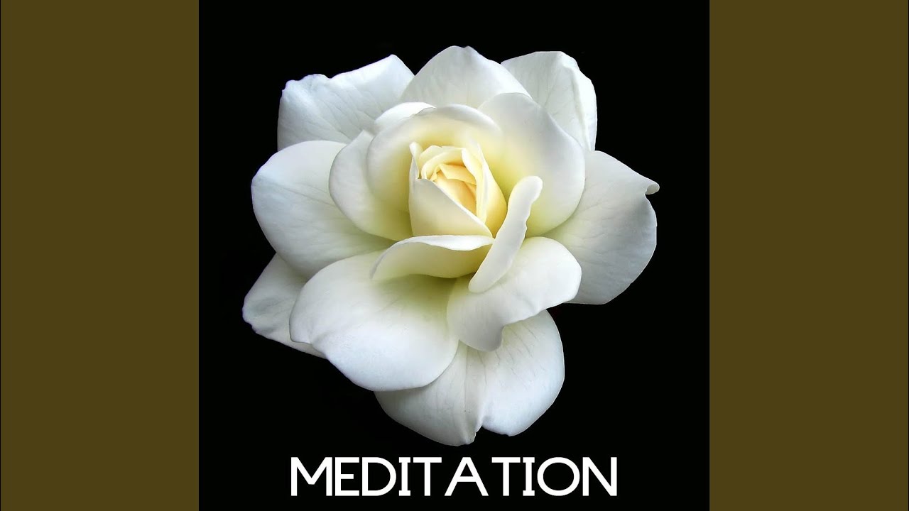 Mind Relaxing Songs Youtube Music