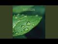 Spring Raindrops