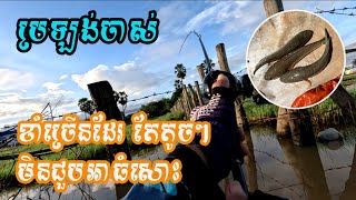 ប្រឡង់ចាស់ ត្រីខាំច្រើនដែរតែតូចៗ មិនជួបអាធំសោះ