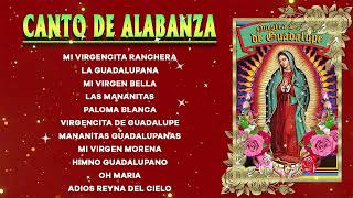Canciones A La Virgen De Guadalupe ✨ Virgen De Guadalupe💐Mariachi Cantares De Mexico La