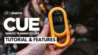 Remote Collar for Beginners | Dogtra CUE Tutorial \u0026 Features