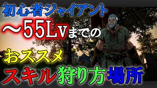 【黒い砂漠】初心者ジャイアント解説　～55レベルまでのおすすめスキルと狩動画