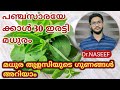 മധുര തുളസി |ആരോഗ്യ ഗുണങ്ങൾ