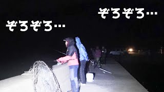 夜の防波堤で釣りしてたら島民が続々と集まって…【離島生活】