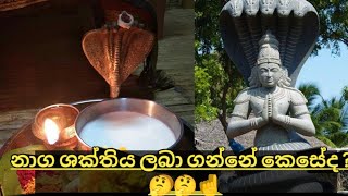 නාග ශක්තිය  ලබා ගන්නේ කෙසේද .?