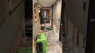 Water Damage Restoration | How To Prevent Mold Growth With Air Movers