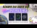 🧿 kenapa dia hadir di mimpimu 💜( tarot reading ) pilih kartu