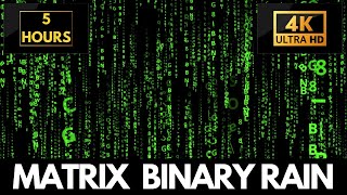 Matrix Binary Falling Rain Code Screensaver | 5 Hours Screensaver & Live Wallpaper HD! No Audio!