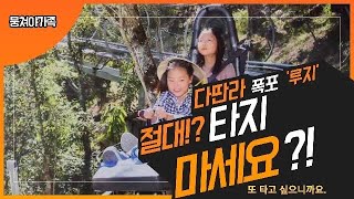 베트남한달살기 | 달랏여행 필수코스 / 다딴라폭포, 죽림선원, 케이블카 “요거 안보고 가시면 후회합니다.”