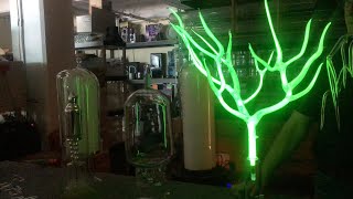 Lighted Glass Plasma Trees by Wayne Strattman