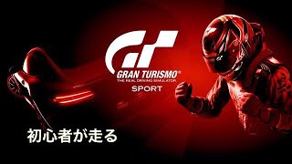 GTスポーツ、初心者が走る