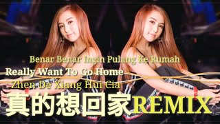 真的想回家(Zhen De Xiang Hui Jia)-Remix 2021