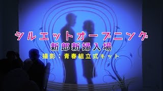 【ホテルベルクラシック東京】披露宴入場シーン「シルエットオープニング」｜ビデオ撮影：青春組立式キット