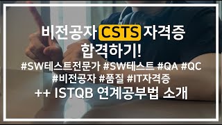 비전공자 CSTS(소프트웨어 테스트 전문가) 자격증 후기! 교재,책,난이도,방법 공유! ISTQB와 연계 공부법까지~