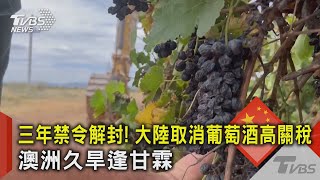 三年禁令解封! 大陸取消葡萄酒高關稅 澳洲久旱逢甘霖｜TVBS新聞 @TVBSNEWS02