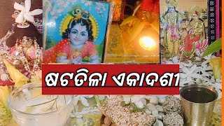 ଷଟତିଳା ଏକାଦଶୀ/Sattila Ekadoshi/ #SangitaKitchenandGharsansar