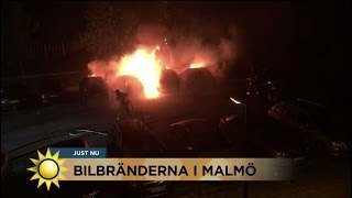 Bilbränderna i Malmö: "en katt- och råttalek med polisen" - Nyhetsmorgon (TV4)