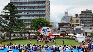 【4K】よさこい魂 和｜最高和舞（第19回「湘南よさこい祭り2024」/見附台公園 芝生広場会場）