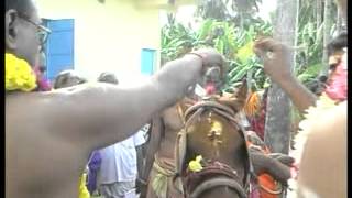 Kalabairavar Kovil- Ashwa Pooja