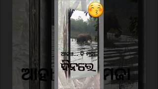 ହାତୀଟି ଘର ଭାଙ୍ଗି ଦେଇଛି || elephant broken to house #shortsvideo #elephantseverywhere #animals