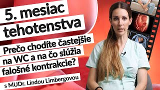 5. mesiac tehotenstva (18. – ⁠22. tt) | Tehotenstvo týždeň po týždni | #tehotenstvo