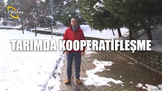 Tarımda Kooperatifleşme - Tarımla Varız