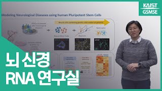 한진주 교수님 | 뇌 신경 RNA 연구실 Prof. Han, Jinju | Brain-RNA Laboratory