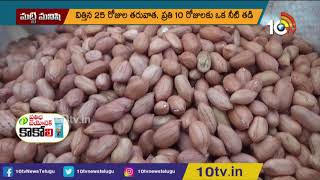 రబీకి అనువైన వేరుశనగ రకాలు | Peanut Varieties in Rabi Season | Matti Manishi | 10TV News