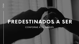 Predestinados a ser conforme a su imagen