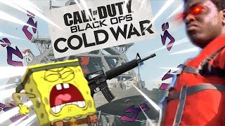 The Black Ops Cold War Experience.EXE