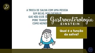 Gastroenterologia Einstein: Qual é a função da saliva?