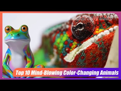 Top 10 Mind Blowing Color Changing Animals You Won T Believe Youtube
