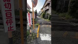 【これは衝撃‼︎】都会の熊本市内に\