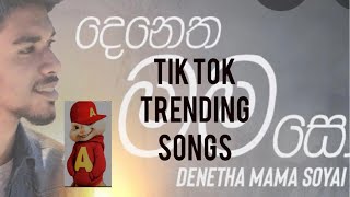 Denetha Mama Soyai 🔥 katun music video / alvin hadin / sinhala new songs / tik tok trending songs