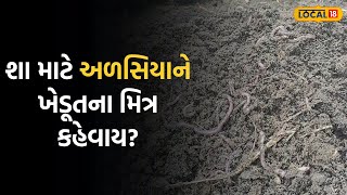 Agricultural  News | અળસિયાને ખેડૂતના મિત્ર શા માટે કહેવામાં આવે છે શું છે તેની ખાસિયત |Local18