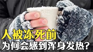 人在被冻死前，为何会感到浑身发热？甚至还要脱下保暖衣物？