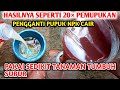 Pupuk organik cair dari air cucian beras