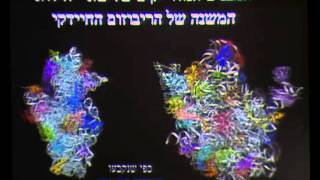 הרצאת קציר לשנת 2011 - מרצה: פרופ' עדה יונת