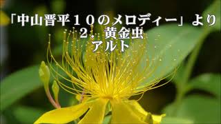 岩河智子　「中山晋平１０のメロディー」より　２．黄金虫　アルト