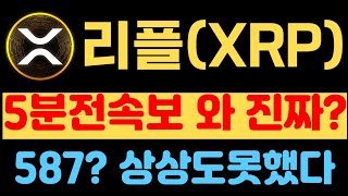 [리플] 5분전 속보에 대해서 말슴드립니다 150,333,587 이거 정말 실화냐 하시는 분들을 위해 오늘 영상 준비했습니다 #리플 #심훈