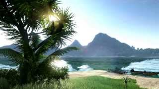 Video Wallpaper - Far Cry 3 - Beach 1 (HD)
