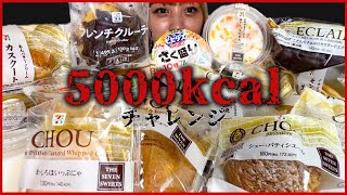 【スイーツ大食い】セブンイレブン５０００kcal超え！！ショーケース全種類買ってみた！！【爆食】