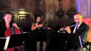 Los Angeles String Trio/ Quartet LA Corporate Party and Event Musicians
